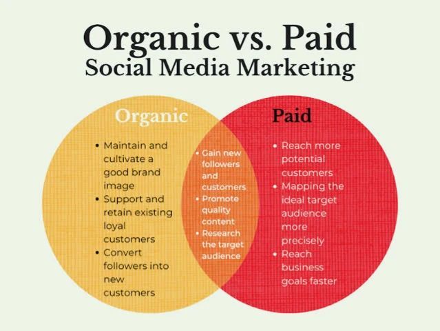 Paid Ads vs Organic Reach